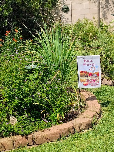 IMG_20250912_140843784_AE