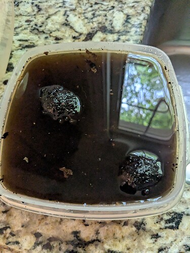 PXL_20251008_162937420