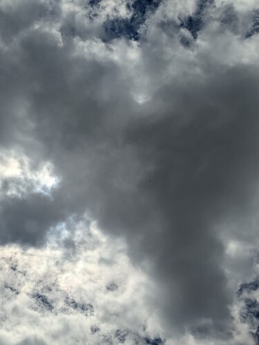 PXL_20250504_171748688