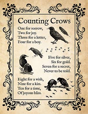 Number-of-Crows-Page