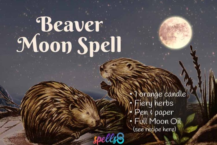 Full-Beaver-Moon-Spell-Witch-Magic-750x500