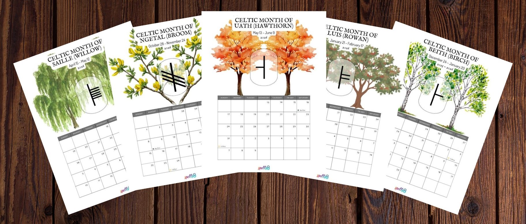 Celtic Tree Calendar 2026