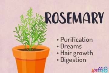 Rosemary-Herbal-Witchcraft-Course-360x240