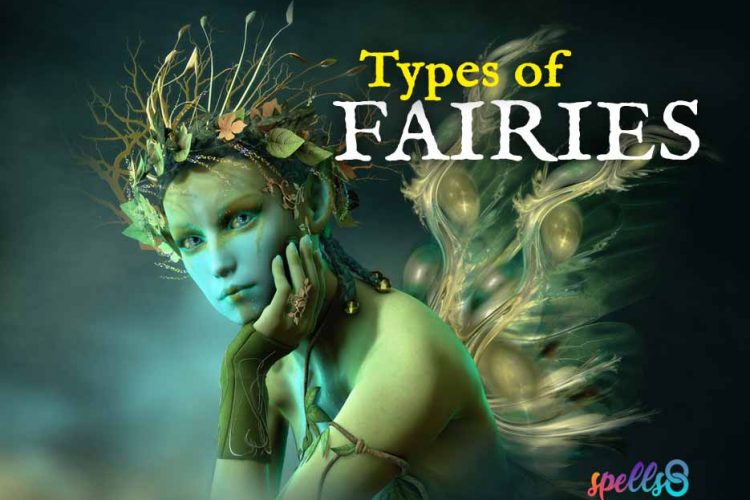 Types-of-Fairies-Witchcraft-750x500