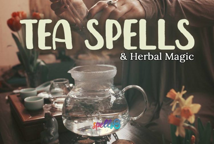 Tea-Spells-and-Herbal-Witchcraft-750x505