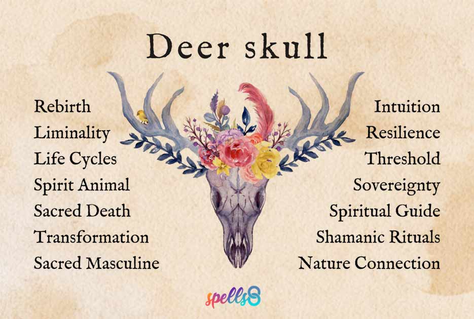 What-Does-a-Deer-Skull-Symbolize