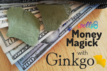 Money-Magic-Rich-Funds-Ginkgo